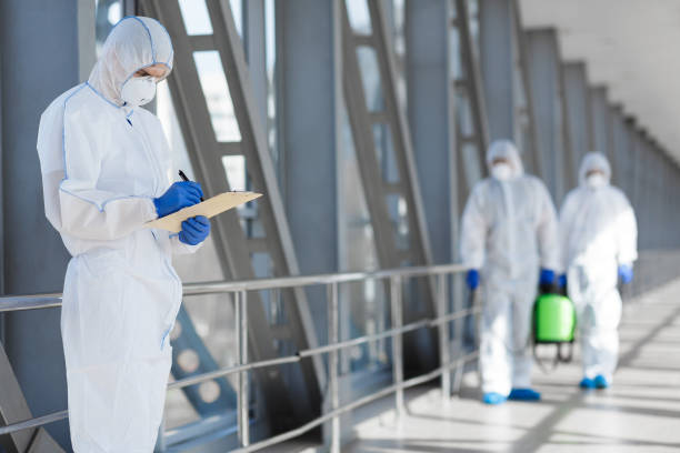 Best Mold Remediation for Vacation Homes  in Mccullom Lake, IL
