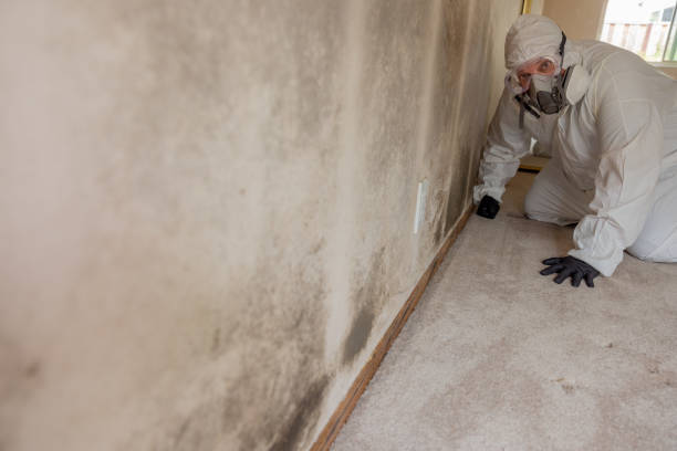 Mold Remediation for Vacation Homes in Mccullom Lake, IL