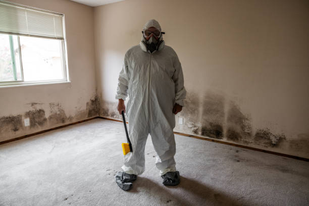 Best Attic Mold Removal  in Mccullom Lake, IL